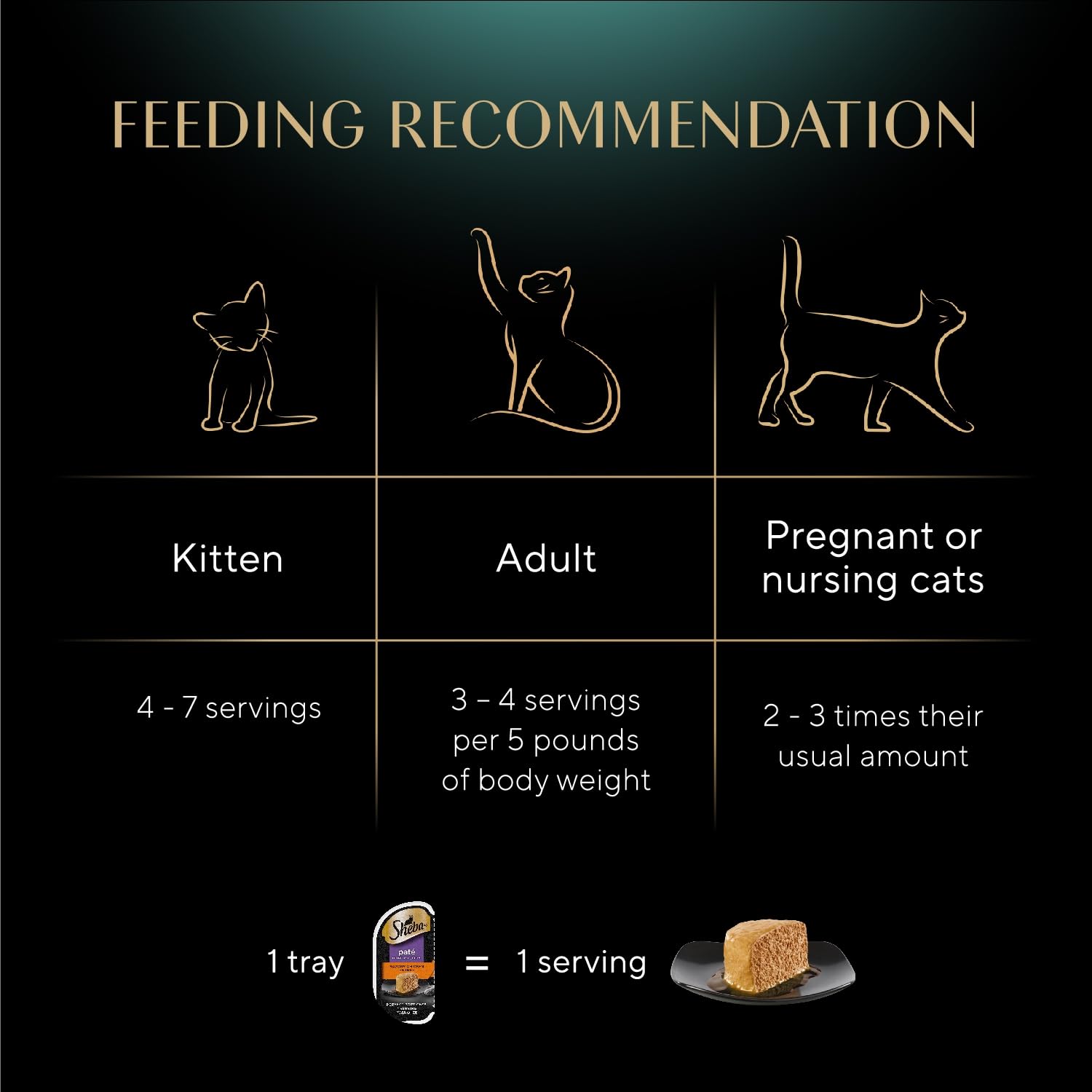 Chat dégustant le pâté humide Sheba, repas pratique et appétent.