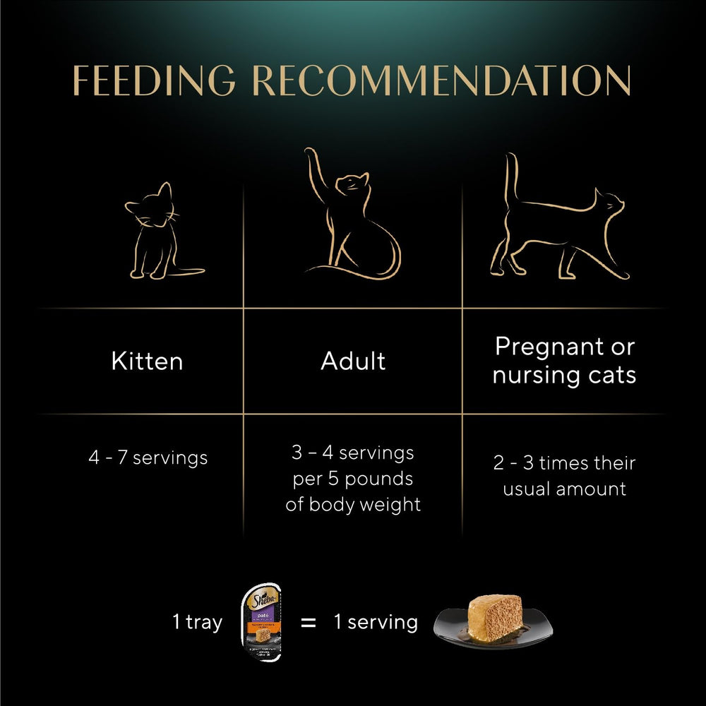Chat dégustant le pâté humide Sheba, repas pratique et appétent.