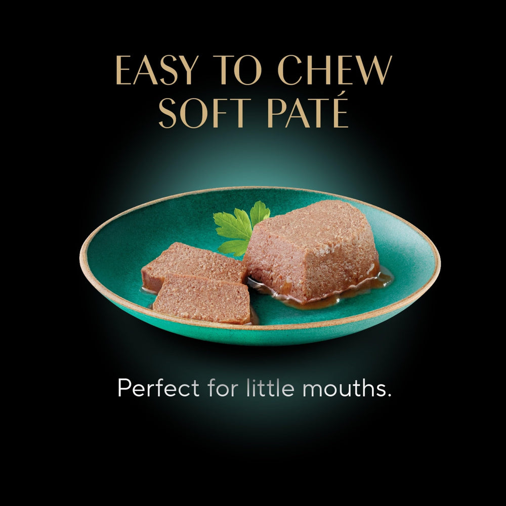 Sheba chaton mange pate poulet, texture facile à mâcher