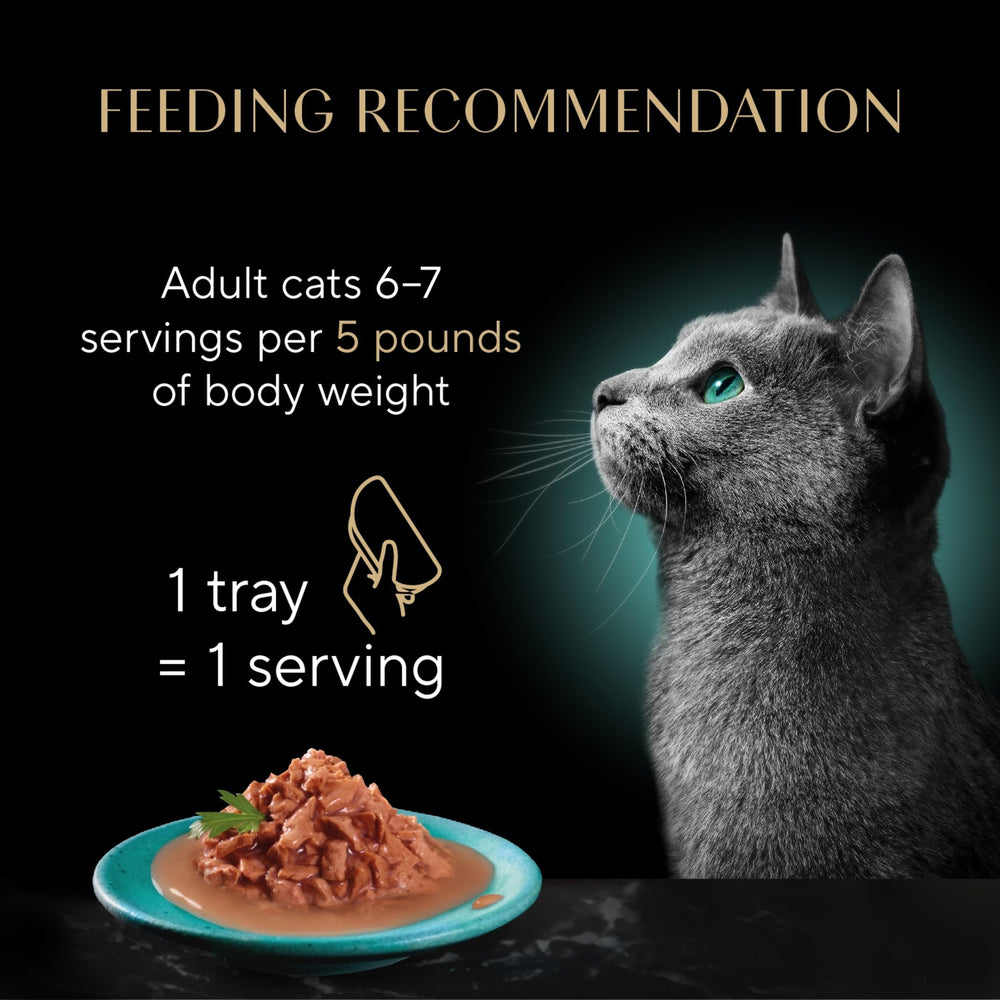 Sheba Gravy Indulgence texture gourmande: pour chats exigeants et appétissants.