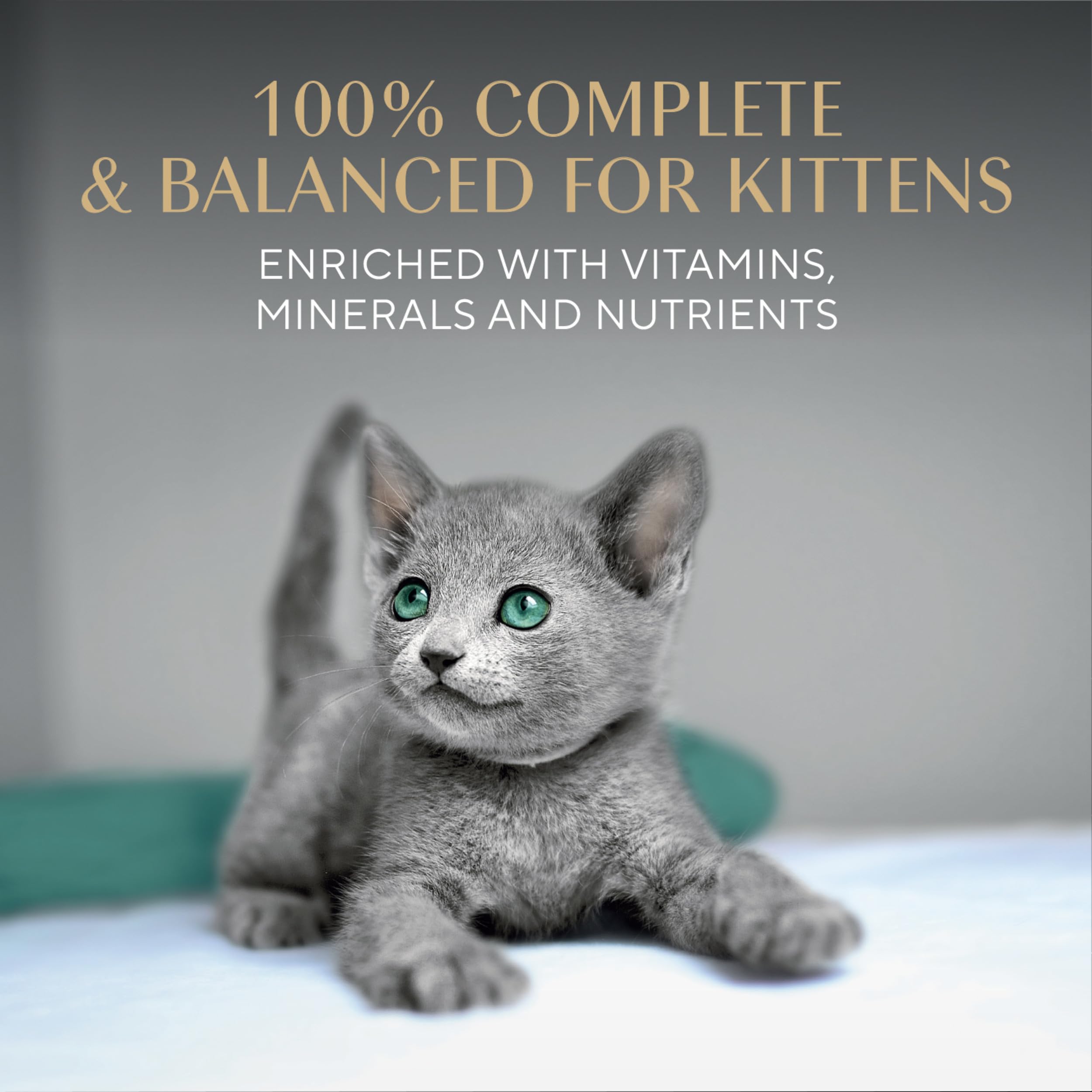 Sheba Perfect Portions chaton, riche en DHA pour soutenir le développement cognitif.
