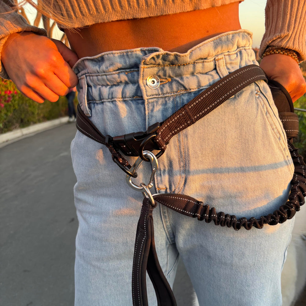 Shed Defender Carabine Attache – fixation sécurisée sur toutes les laisses.