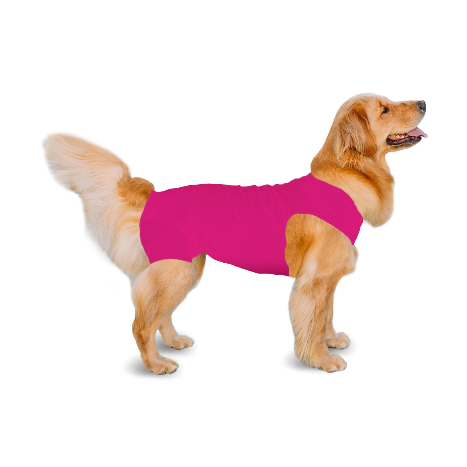 Shed Defender combinaison récupération chien, confort durable en convalescence.