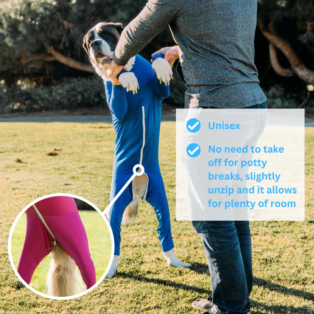 Shed Defender Onesie chien post-chirurgie: protection des zones sensibles