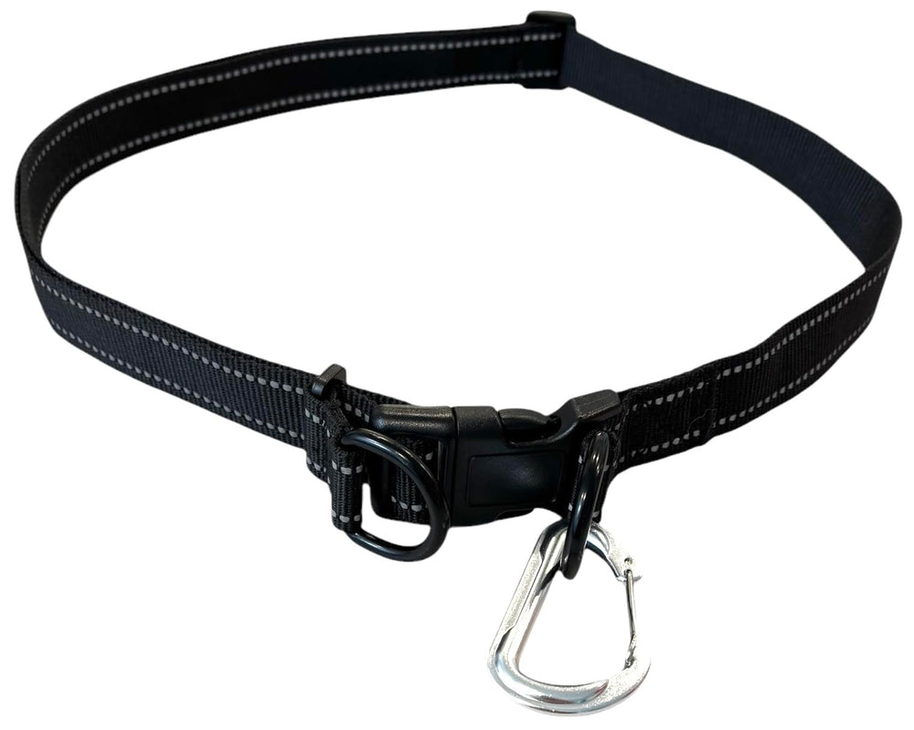 Shed Defender Marche-Chien – idéal pour promenades et jogging.