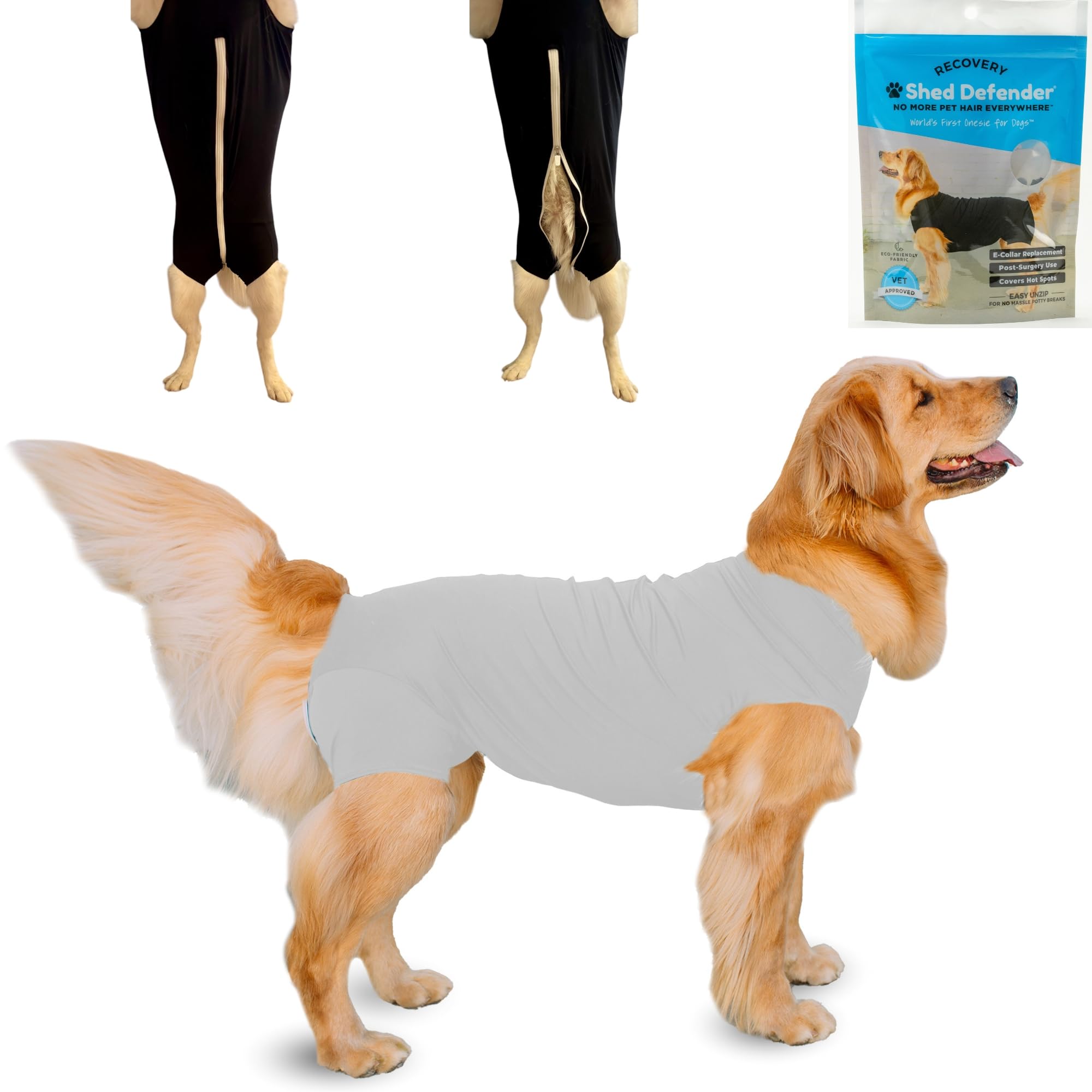 Shed Defender Recovery Suit pour chien: visage visible, confort et protection pendant la récupération.