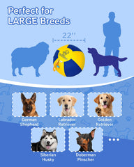 SHEENLULU balle herding design bleu-jaune pour meilleure visibilité