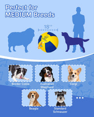 SHEENLULU Ball intérieur renforcé et housse 900D, résistance pour chiens actifs.