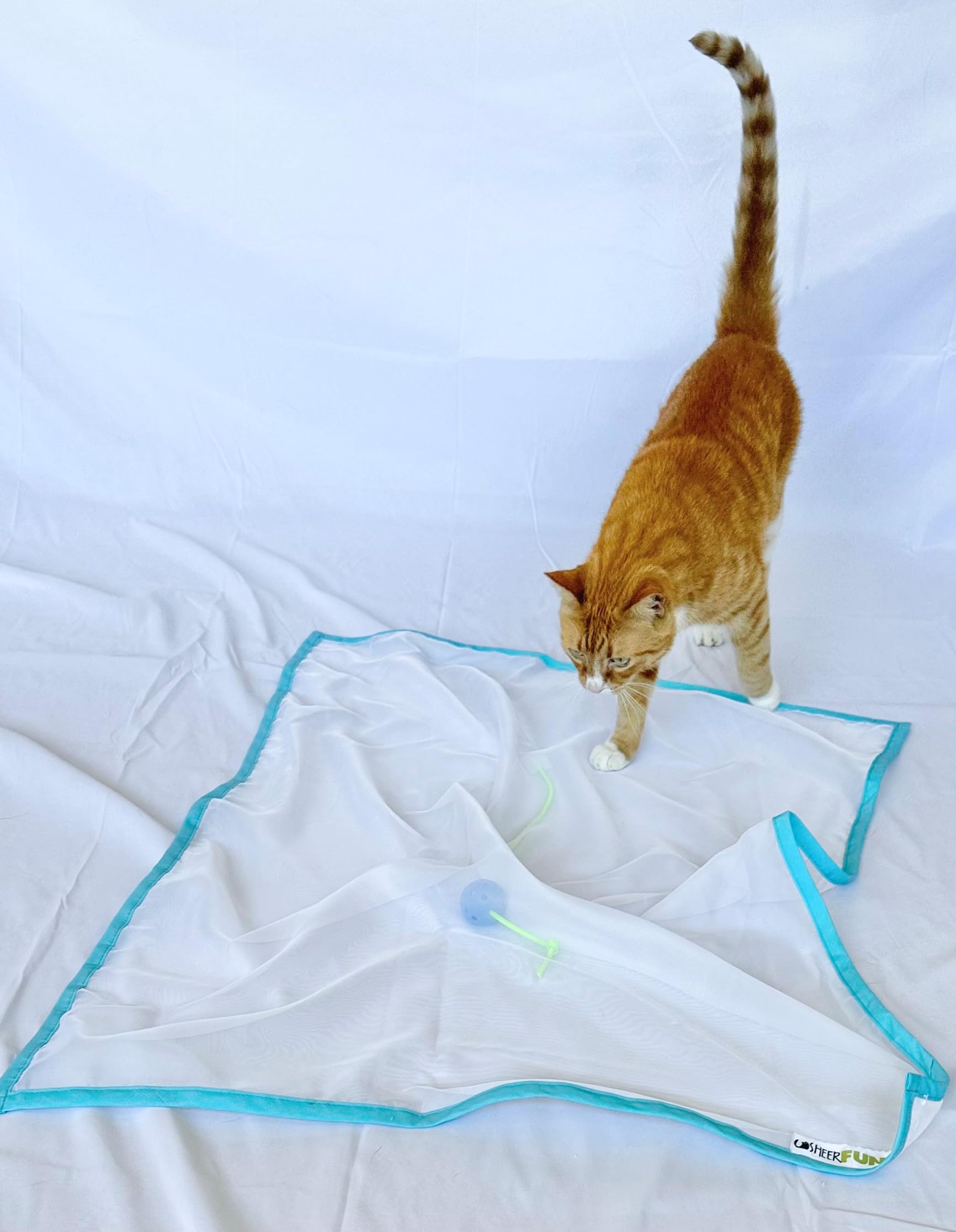 Sheer Fun For Cats: fabriqué aux États-Unis, durabilité et qualité pour chats et chatons