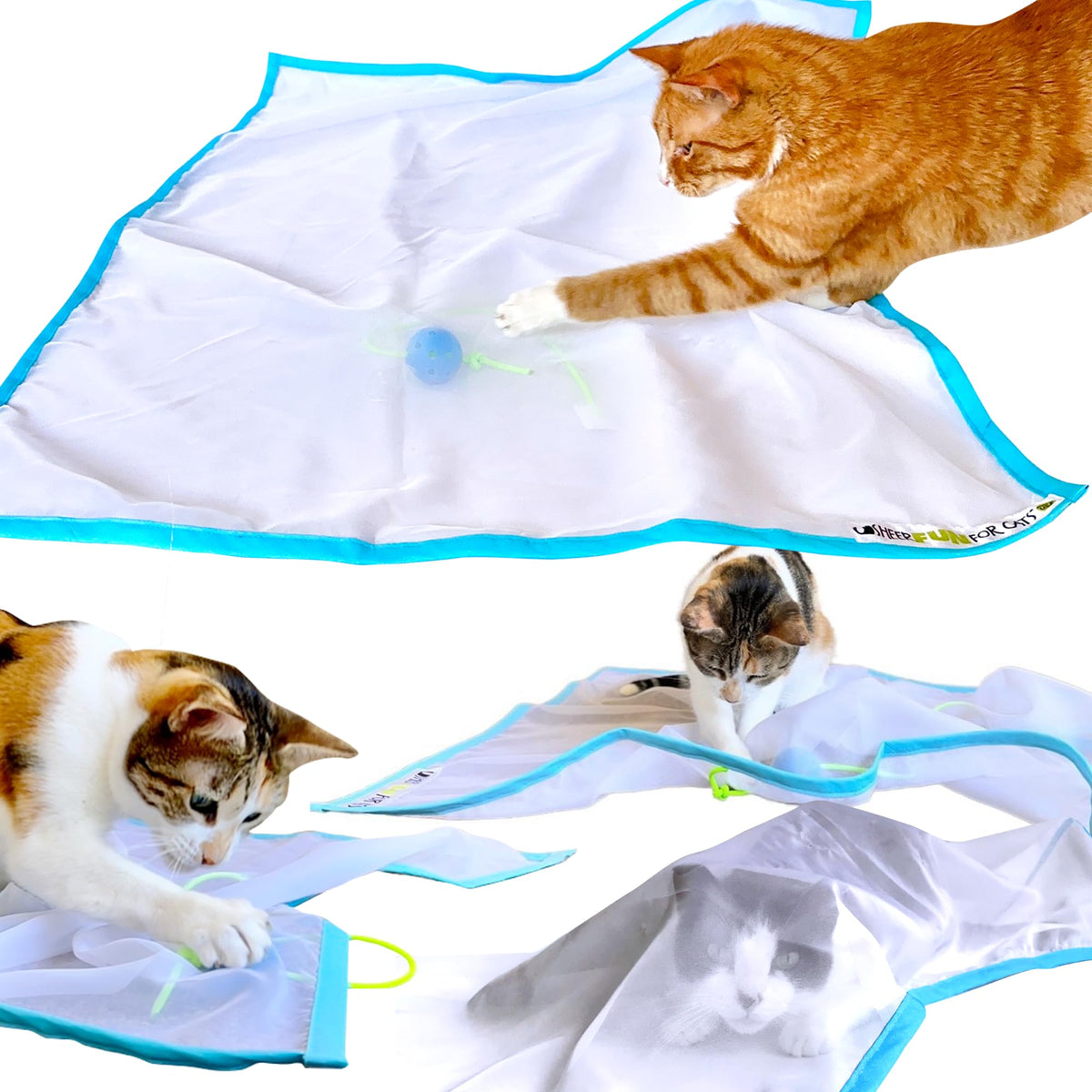 Sheer Fun For Cats: jouet en tissu translucide stimulant l’instinct de chasse