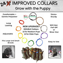 SHEFFIELD SS SHOP collier-chiots-identification: facilite l'identification des chiots et le suivi.