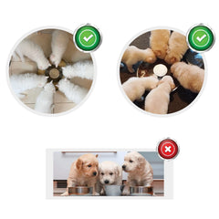Nettoyage facile avec bol Sheldamy en inox, compatible lave-vaisselle.