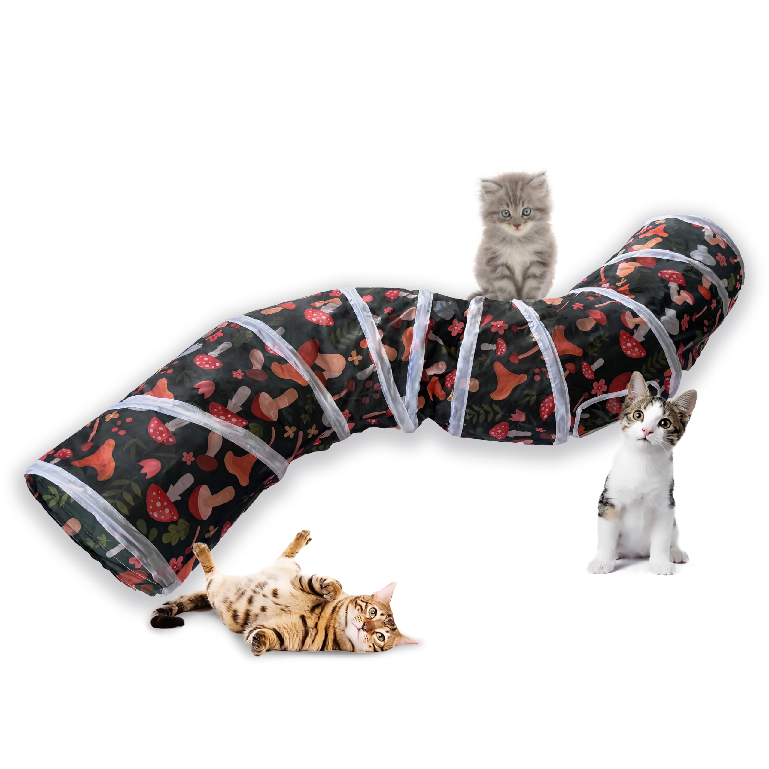 Tunnel chat Sheldamy au motif champignon, stimulation et jeu intérieur.