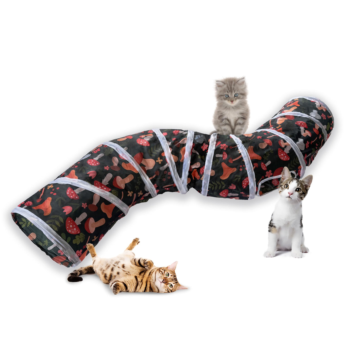 Tunnel chat Sheldamy au motif champignon, stimulation et jeu intérieur.