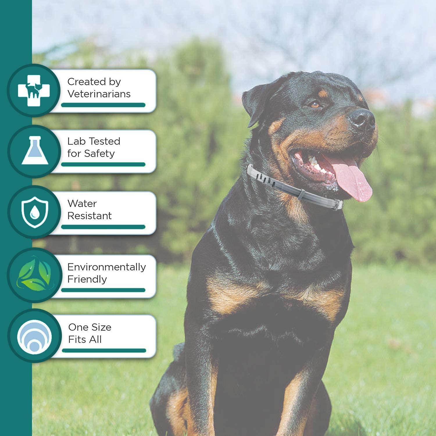 ShengKou collier chien grand impermeable, protège contre parasites.