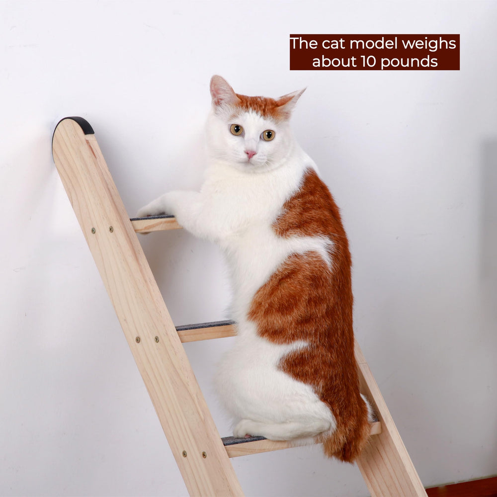 Six niveaux offrent plusieurs postes pour chat et petit chien.