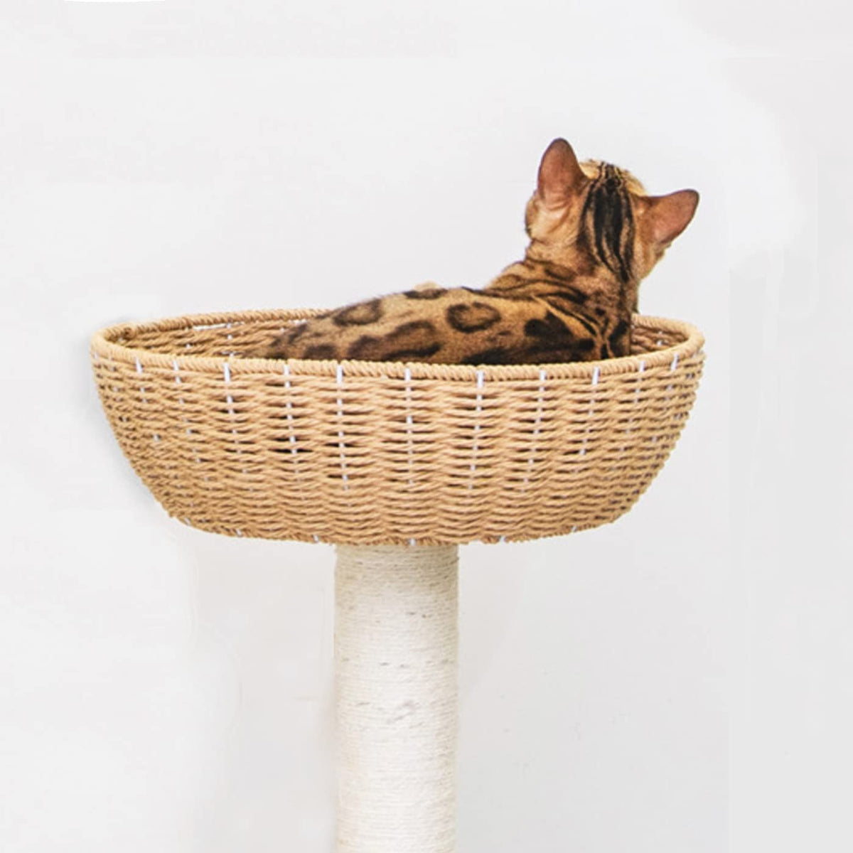 SHENGOCASE panier de remplacement pour arbre à chat avec confort et compatibilité.