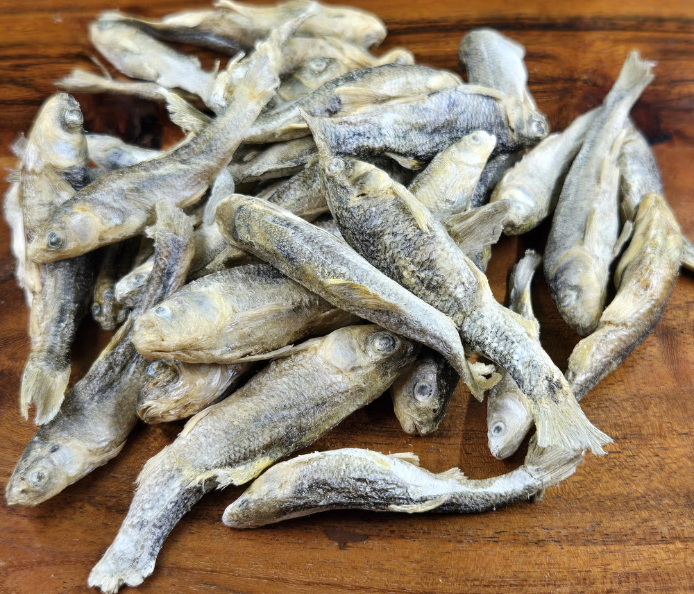 Minnows séchés et riches en protéines, Shepherd Boy Farms pour récompenses quotidiennes.