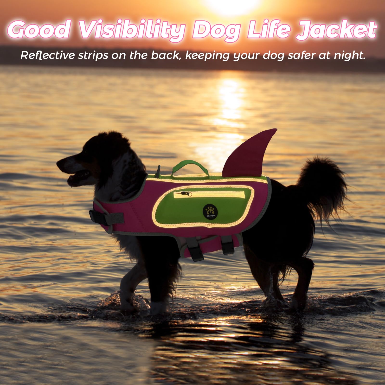 Sheripet gilet chien-reflecteurs-lumineux pour sorties en faible lumière