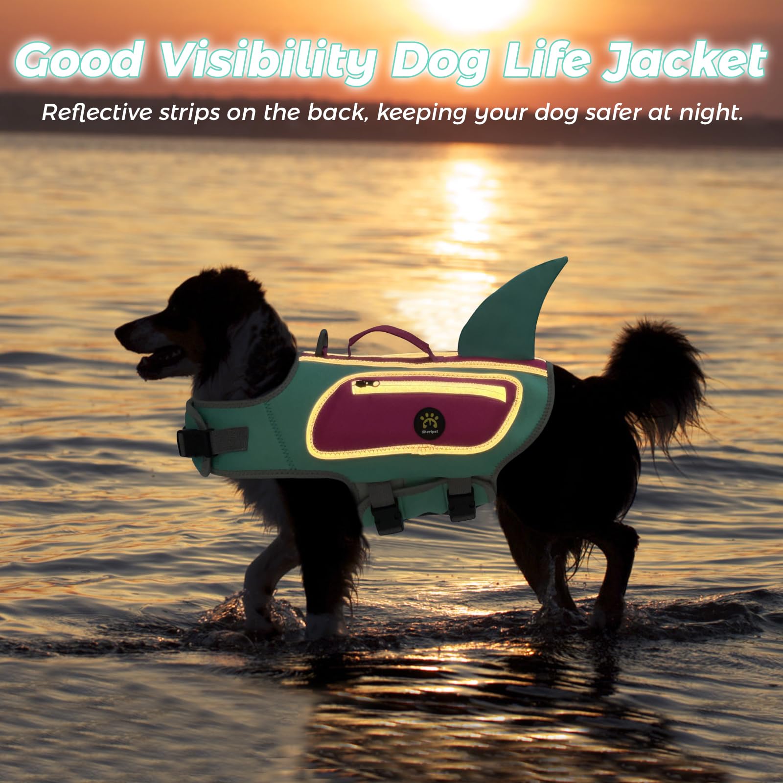 Sheripet gilet avec poignée de sauvetage haute pour assistance.
