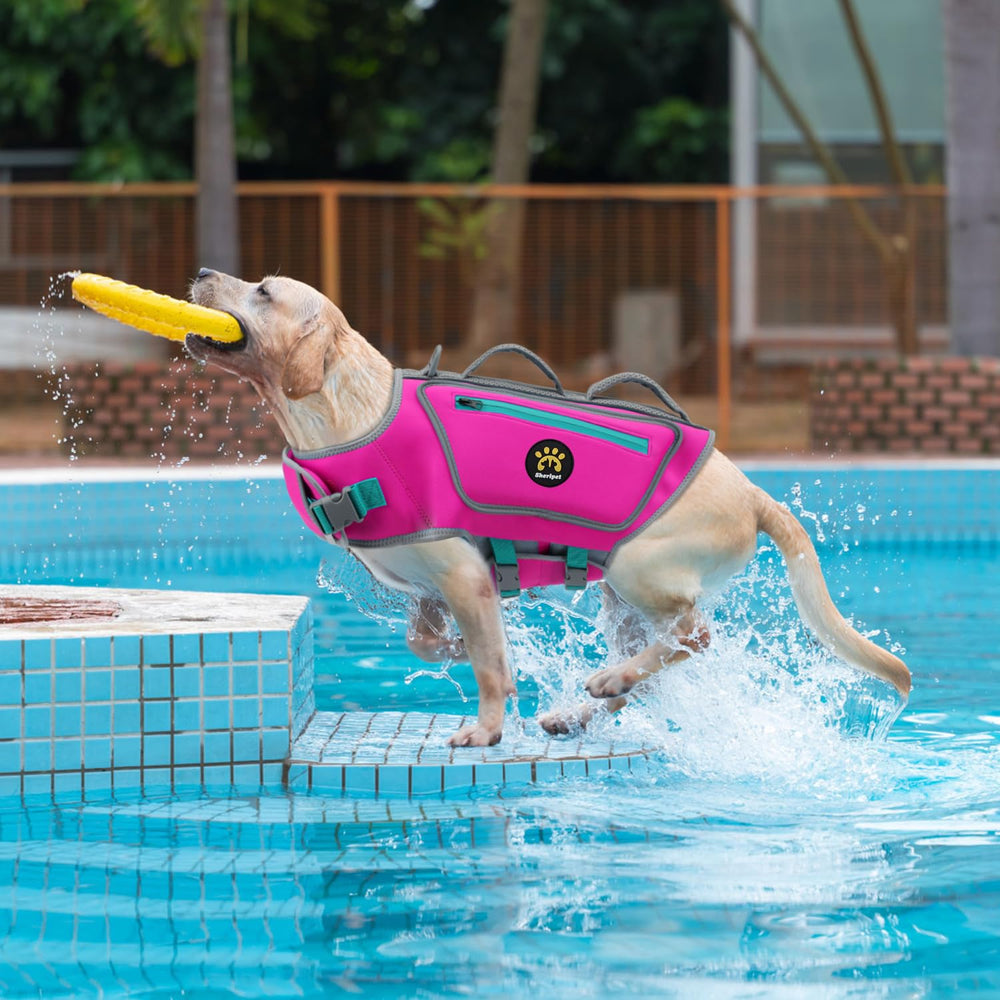 Ajustement rapide grâce à bandes auto-agrippantes et boucles pour chien.