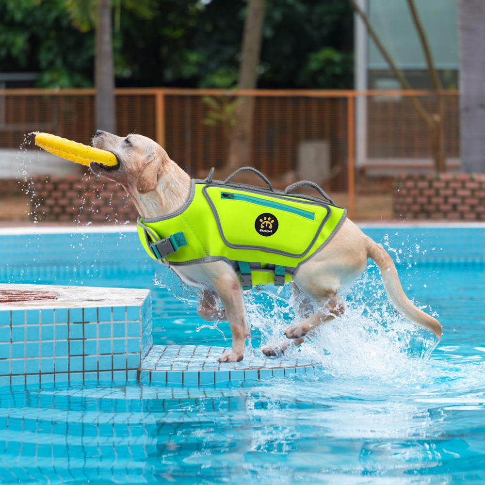 Sheripet gilet sauvetage chien vert XL léger et flottant