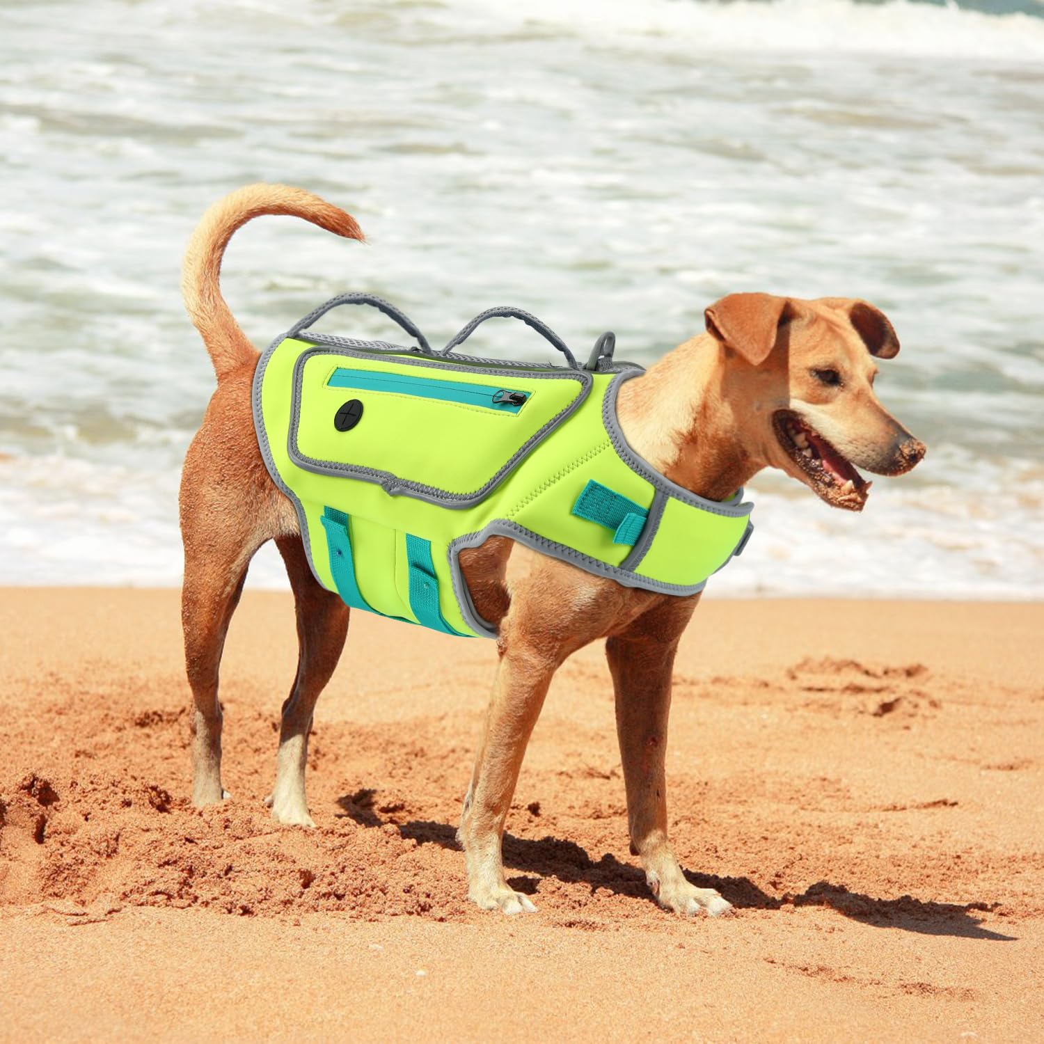 Sheripet gilet sauvetage chien vert XL utilisation maison plage bateau