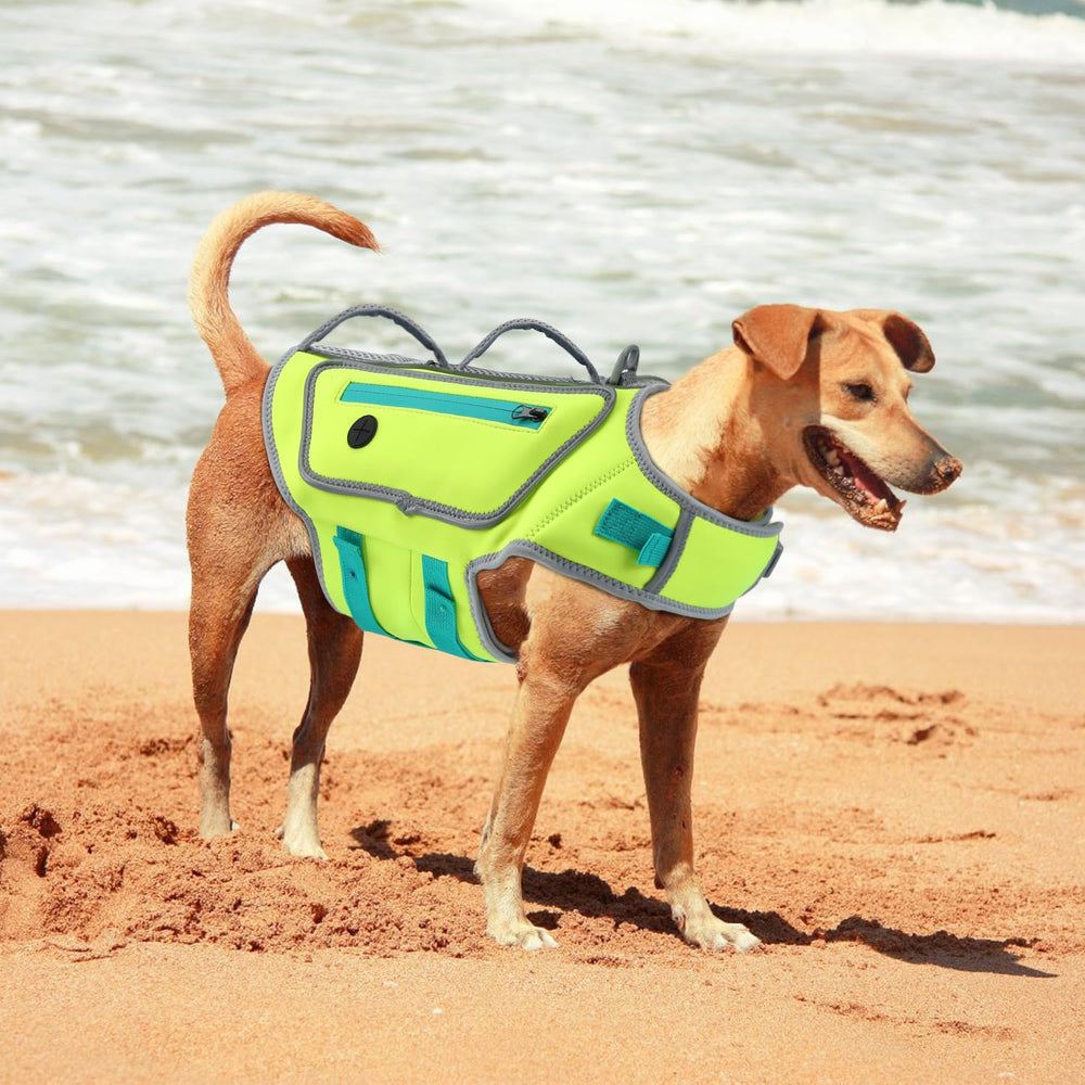Sheripet gilet sauvetage chien vert XL utilisation maison plage bateau