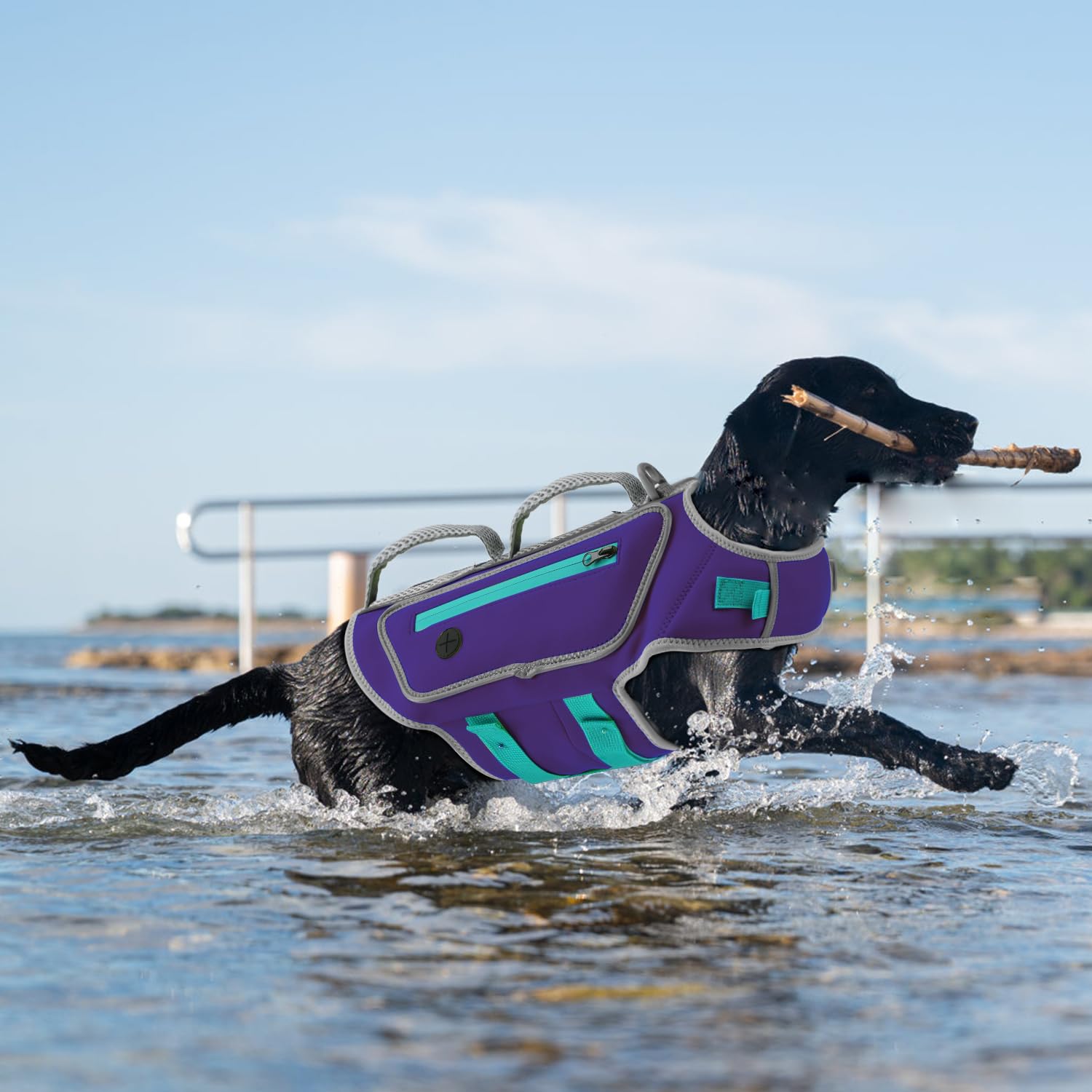 Sheripet gilet haute visibilite avec bandes réfléchissantes