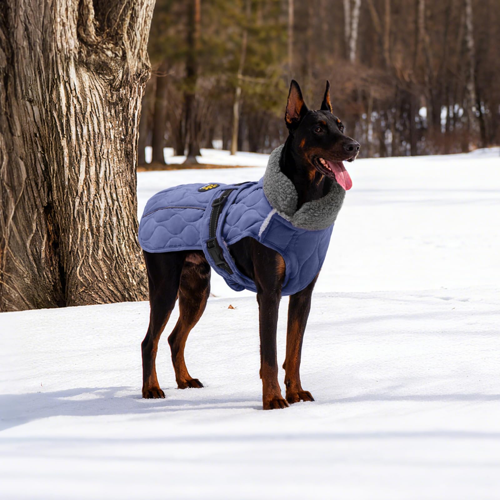Bandes réfléchissantes Sheripet, sécurité accrue lors des promenades nocturnes
