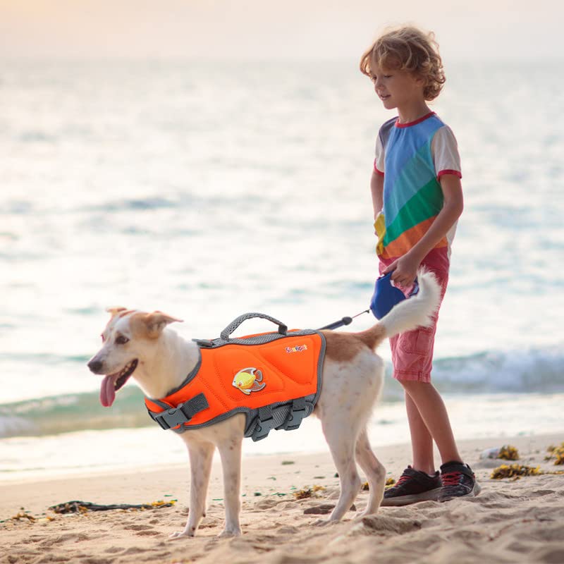 Sheripet veste sauvetage chien pour plage et bateau, utilisation sûre et pratique.