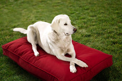 Lit chien Sunbrella Sherry Kline, double face intérieur/extérieur, confort et polyvalence.