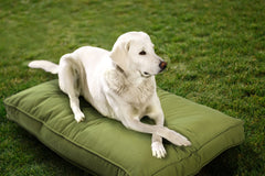 Sherry Kline Sunbrella pour chien, usage intérieur et extérieur, confort polyvalent.