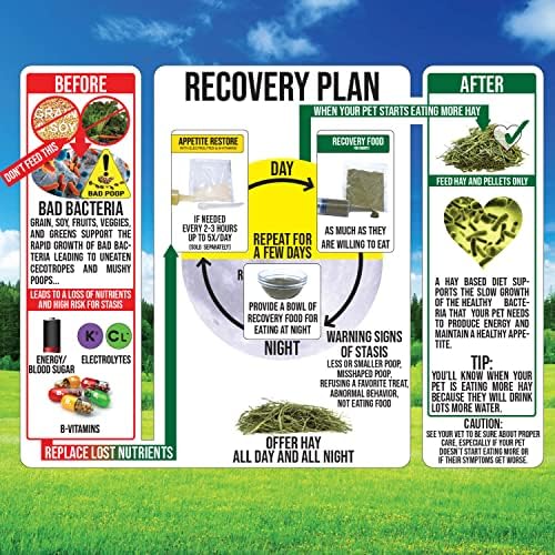 Sherwood Pet Health emballage-kit-urgence-lapin : rangement facile et prêt à l'emploi pour l'animal.