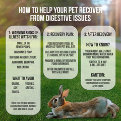 Sherwood Pet Health foin-de-timothy-base-lapin : base naturelle nourrissante pour le quotidien.