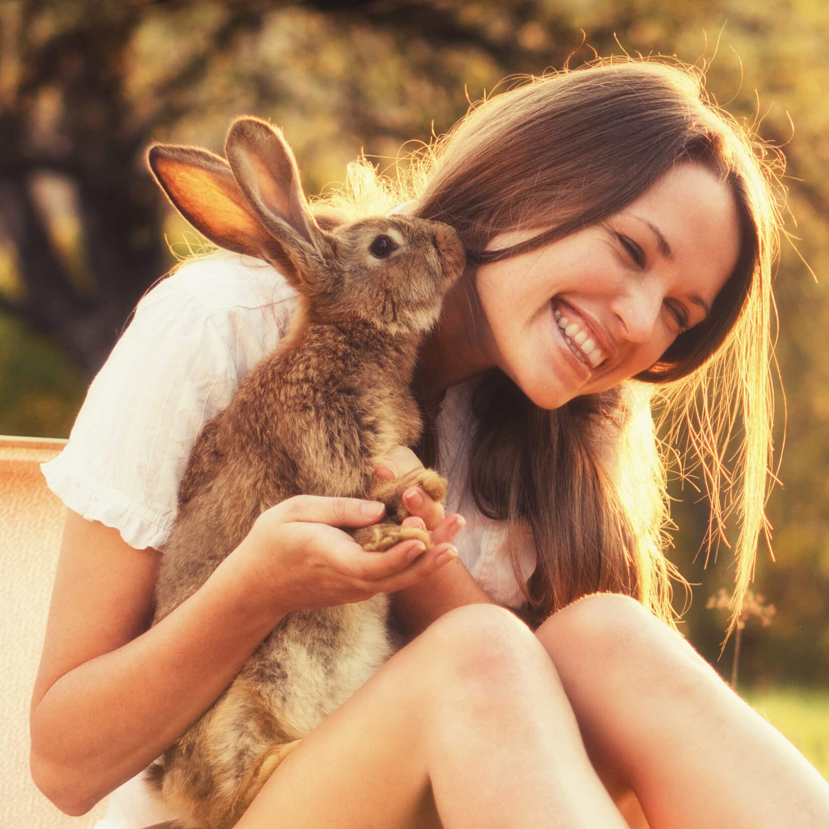 Ingrédients naturels entiers de Sherwood Pet Health pour lapin.