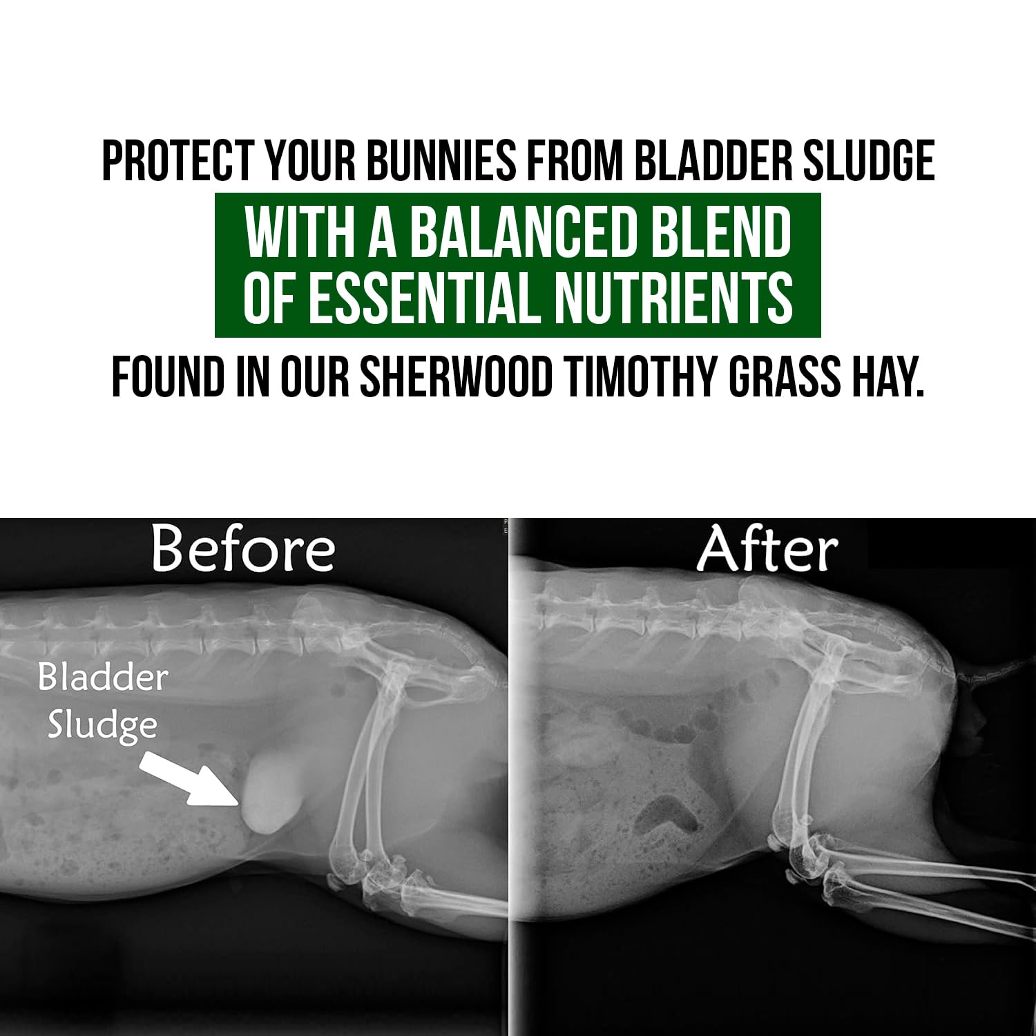 Sherwood Pet Health - bol avec pellets, portion équilibrée et goût agréable.