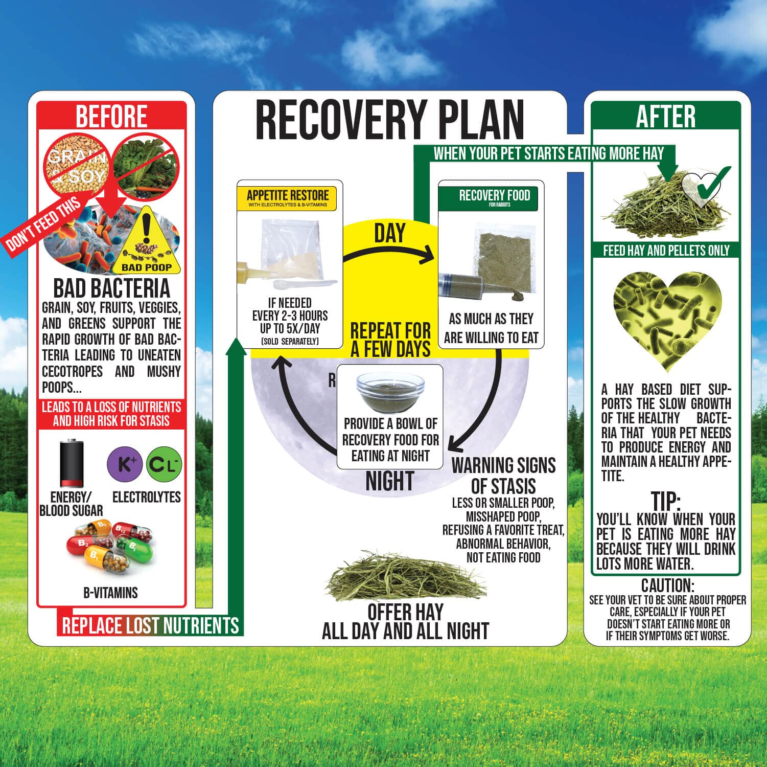 Sherwood Pet Health pret-a-utiliser-rapide-lapin : utilisation rapide lors d'urgences quotidiennes.