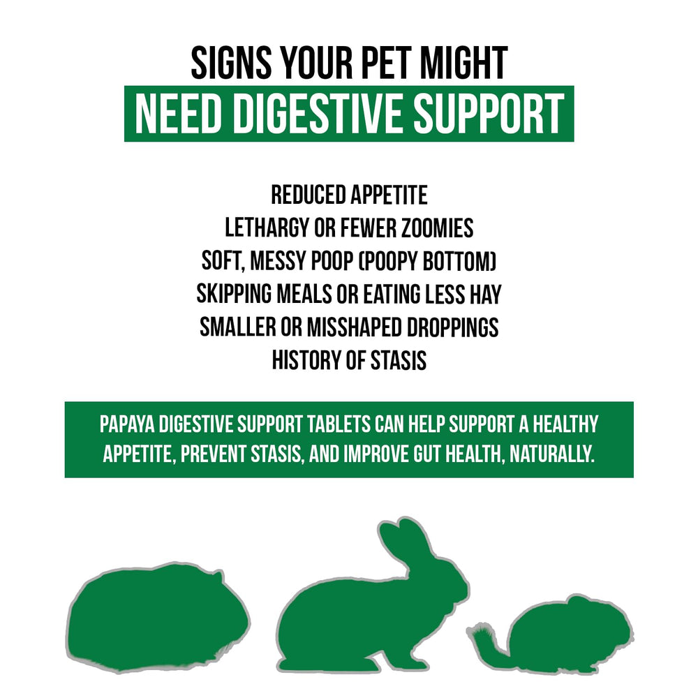 Tablettes Sherwood Pet Health papaye-ananas-banane: saveur naturelle appréciée par les animaux.