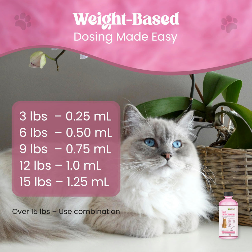 Solution orale pour chat SHEVAT VITAMINS – administration pratique