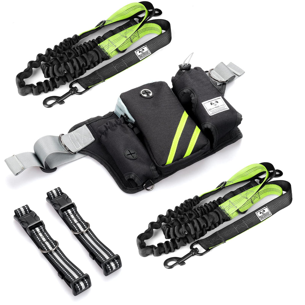 SHINE HAI collier pour chien offert avec le kit complet