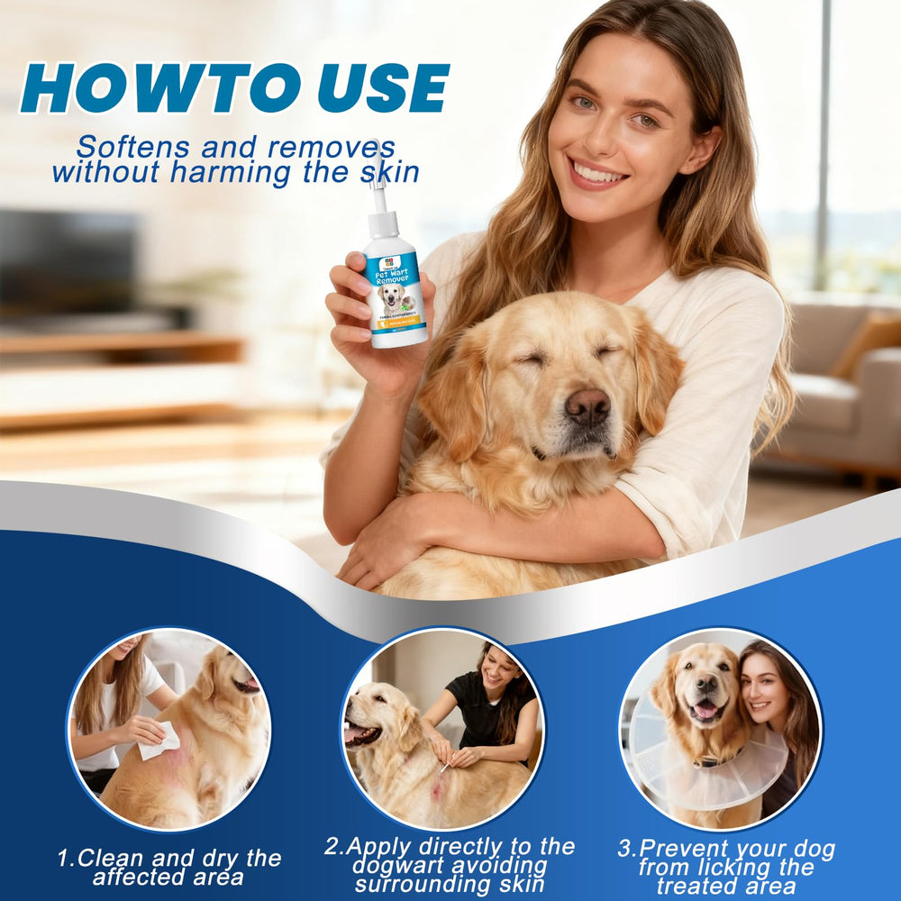 ShineFun – Rituel soin quotidien chien.