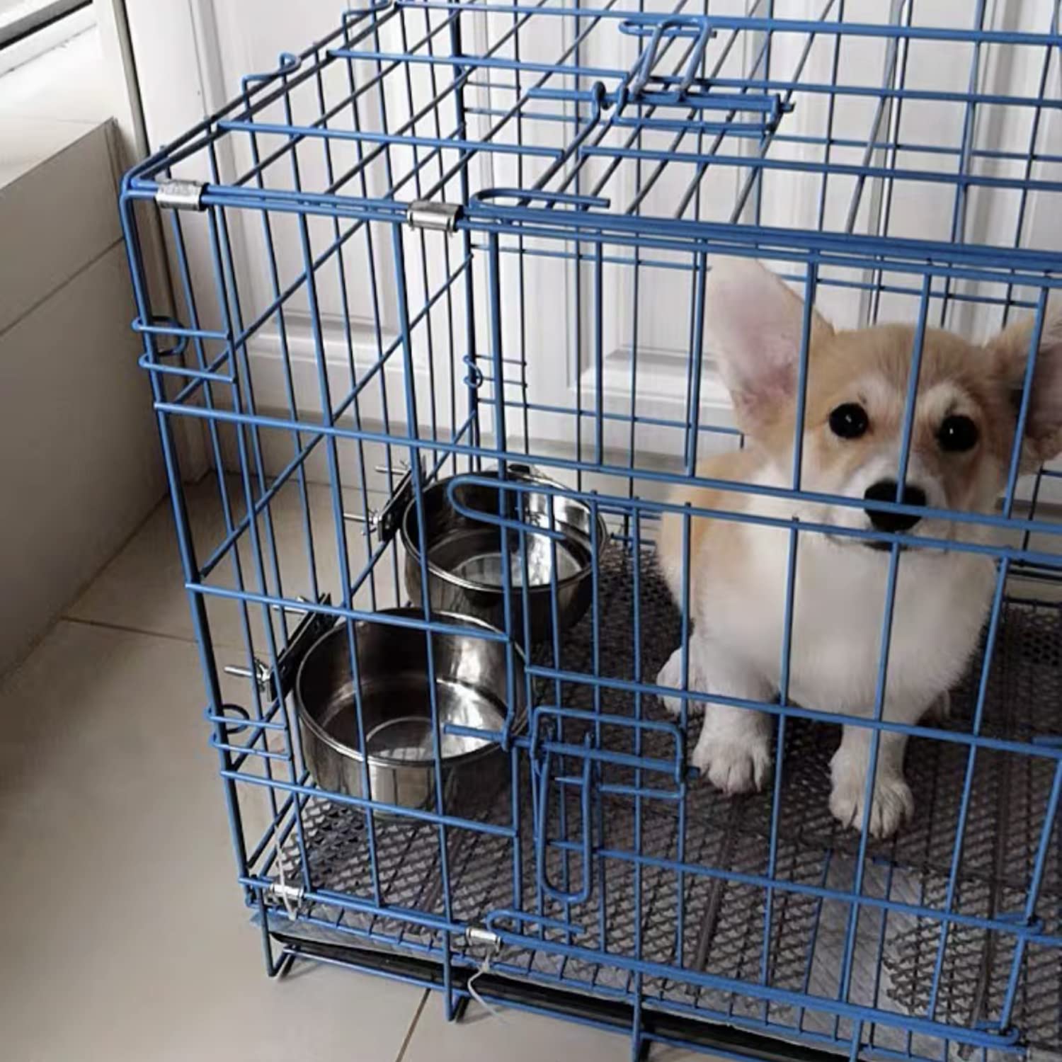ShineMe bol lave-vaisselle pour cage, entretien rapide.