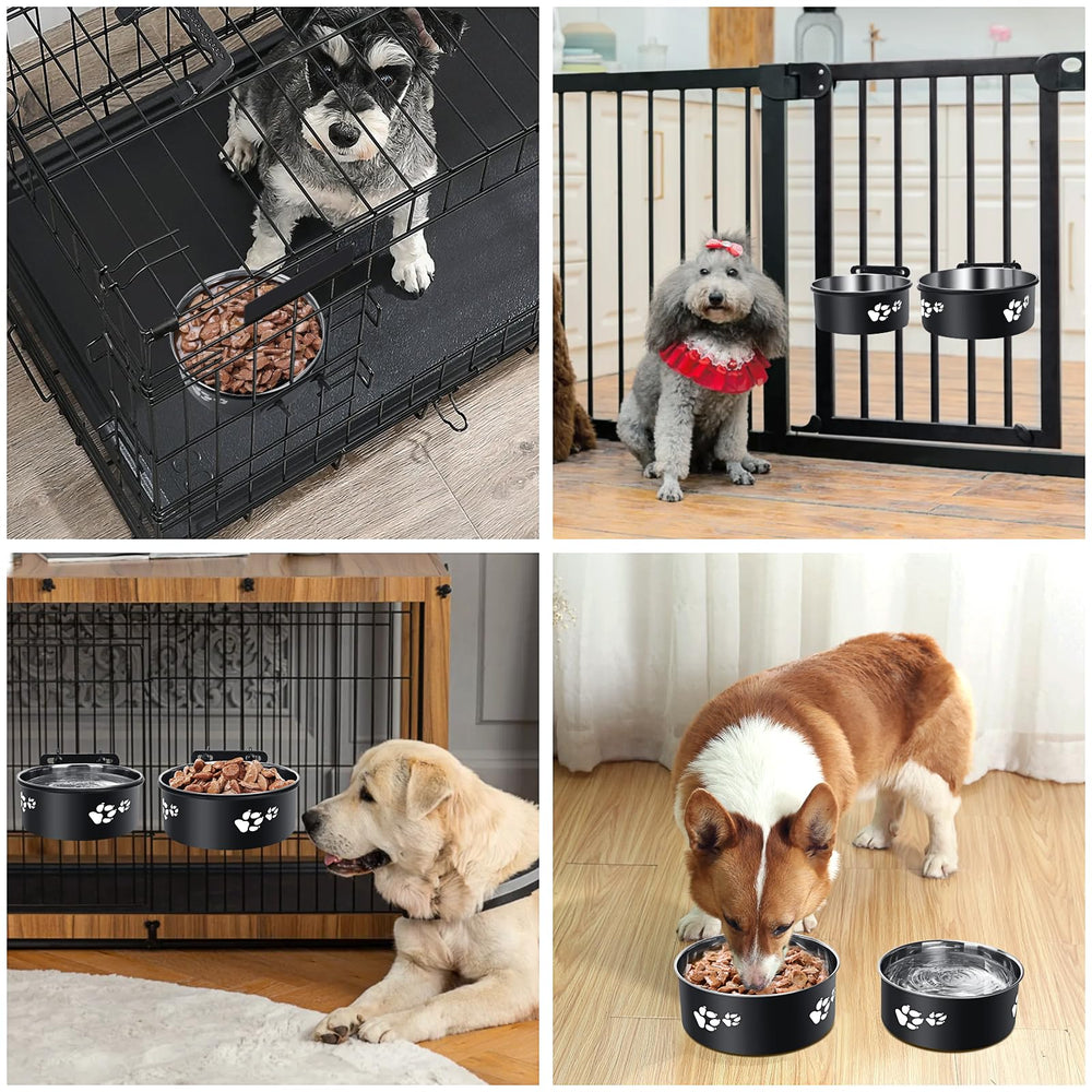 Ensemble deux bols ShineMe pour chien, idéal pour repas et eau.