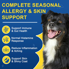 SHINEPAWS boite 120 bouchées : format pratique pour la routine quotidienne.