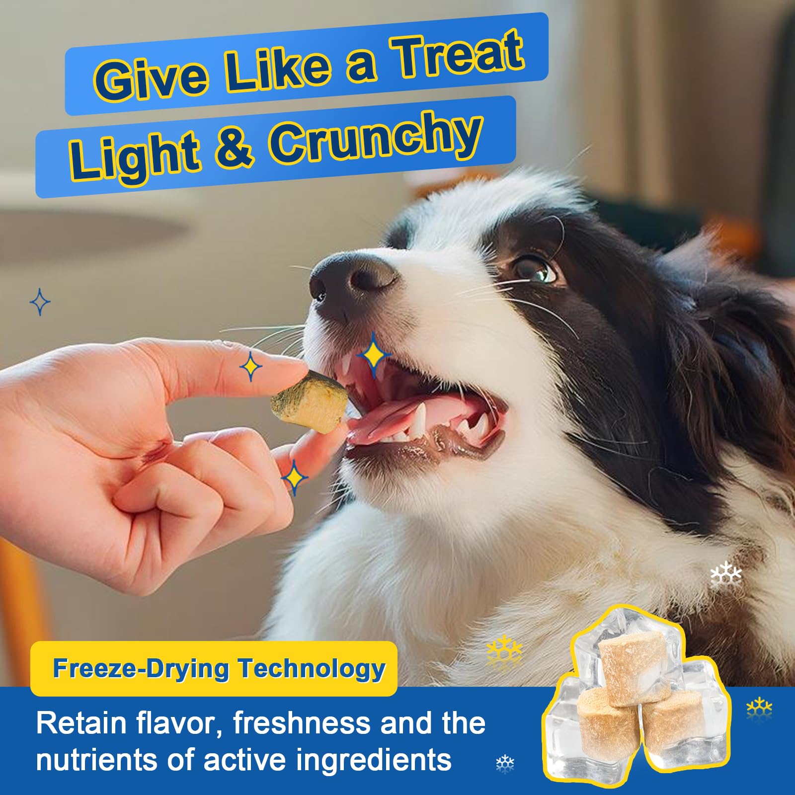 SHINEPAWS Glucosamine – digestibilité améliorée grâce aux enzymes