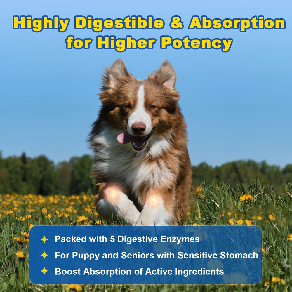 SHINEPAWS Glucosamine – emballage pratique pour dosage quotidien