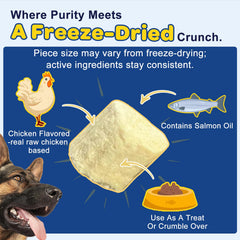 Soutien potentiel peau et poil grâce à SHINEPAWS Omega3 pour chiens.