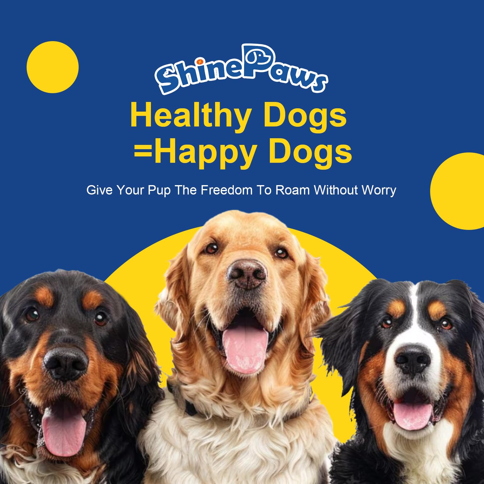 Utilisation pratique : saupoudrer SHINEPAWS Omega3 sur la nourriture.