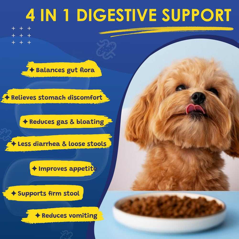 SHINEPAWS Probiotiques pour chien – huile de saumon et Omega-3 pour le bien-être